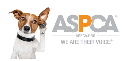 BuckedUp Apparel: Supporting Animal Welfare with the ASPCA