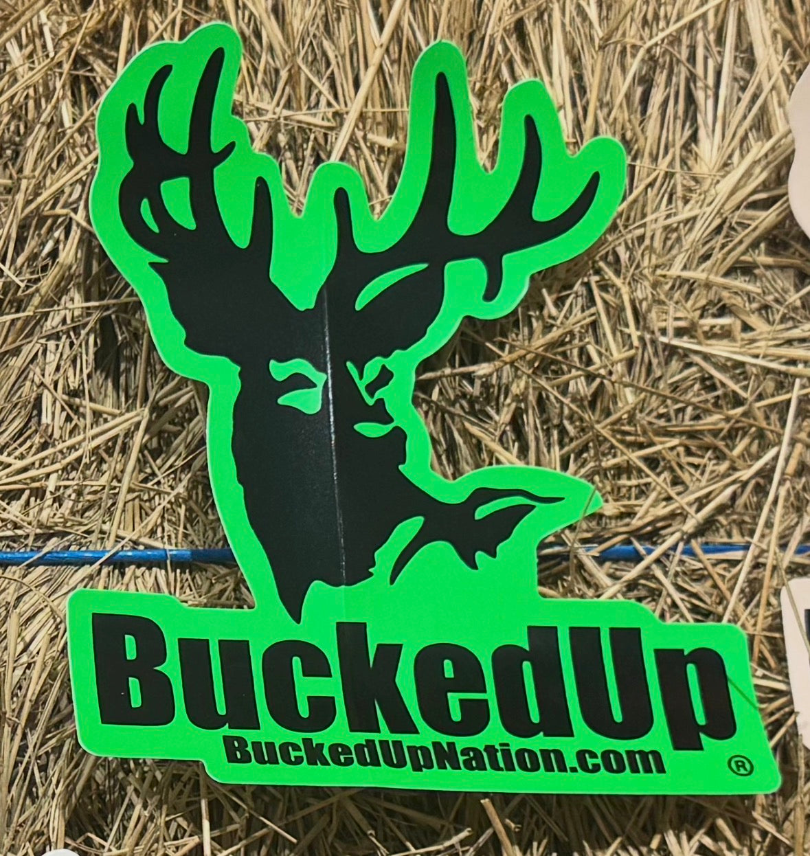 Decals - BuckedUp Apparel