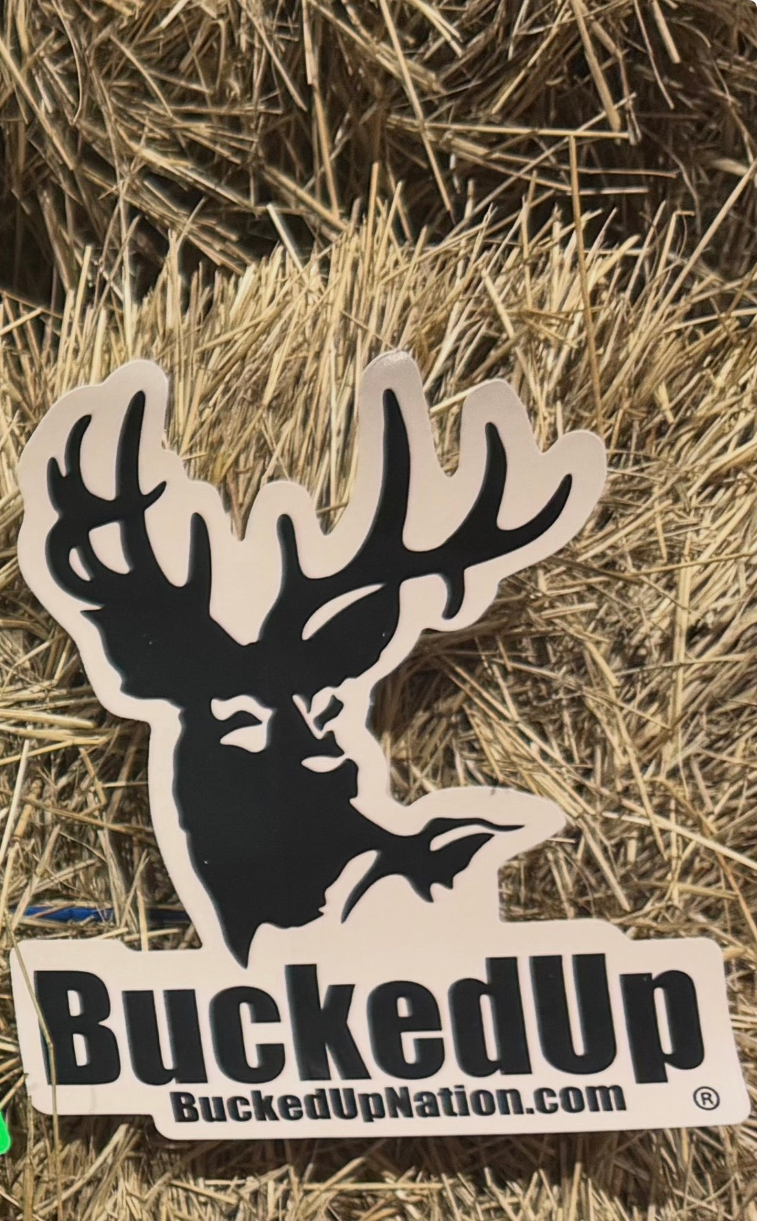 Decals - BuckedUp Apparel