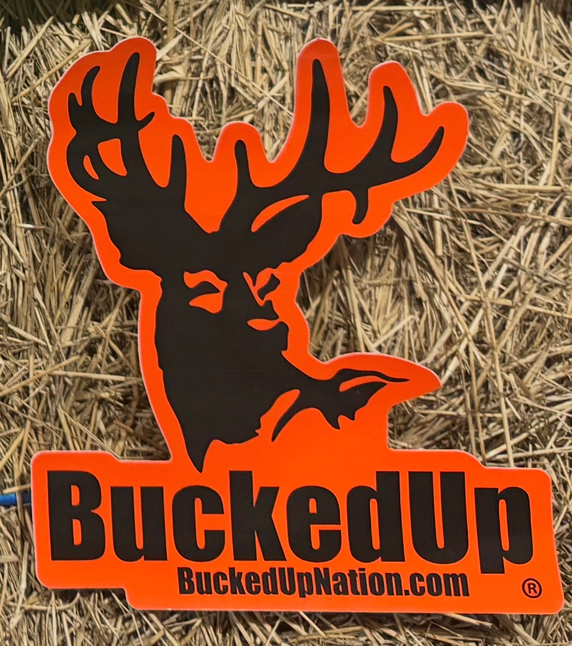 Decals - BuckedUp Apparel